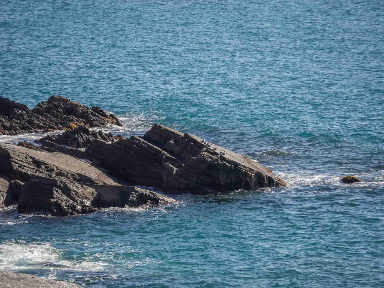 Unda De Ma Sea View Terrace Apartment Vernazza Dış mekan fotoğraf