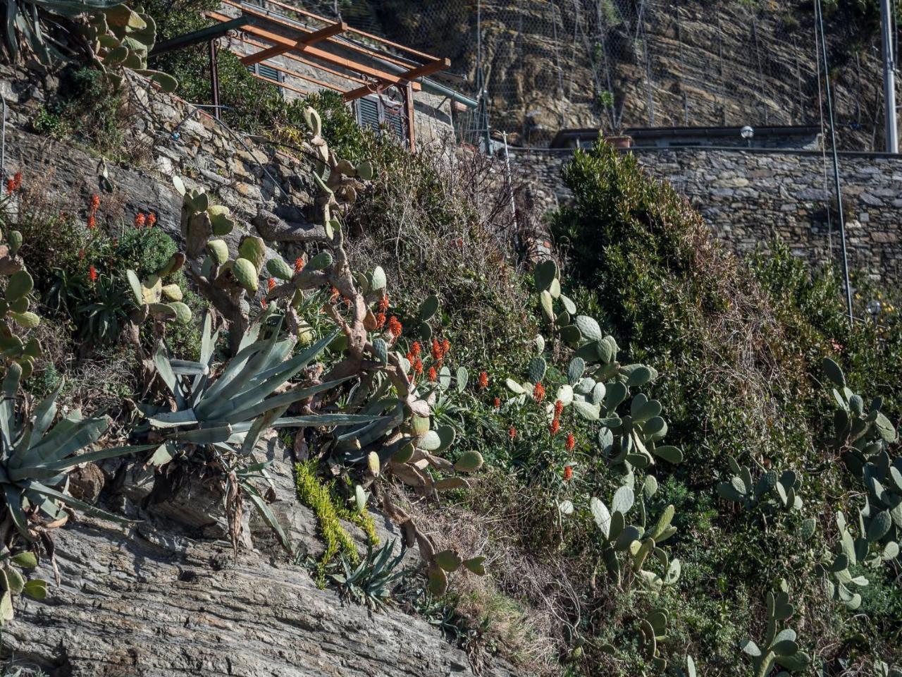 Unda De Ma Sea View Terrace Apartment Vernazza Dış mekan fotoğraf